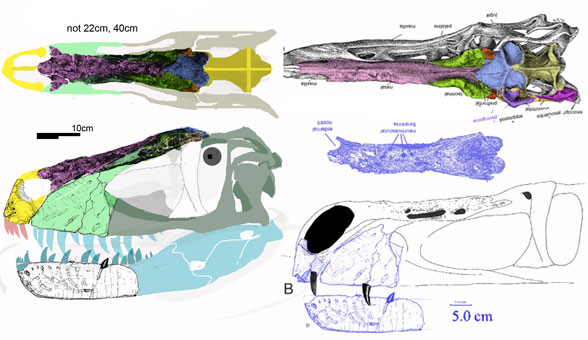 Eotyrannus