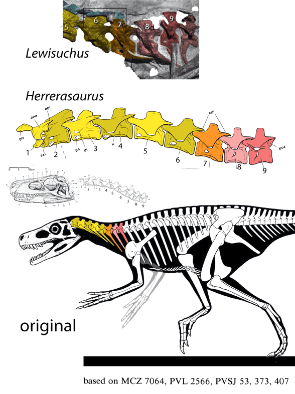herrerasaurus cervicals
