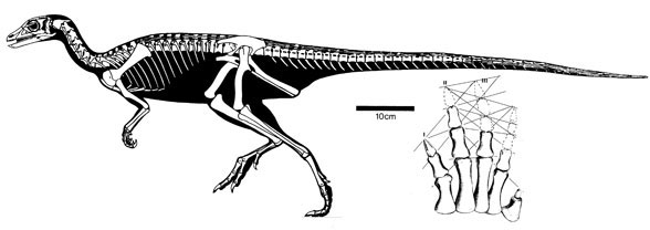 Lesothosaurus