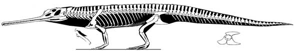Mytriosuchus