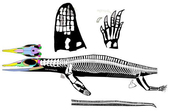 Thaisaurus