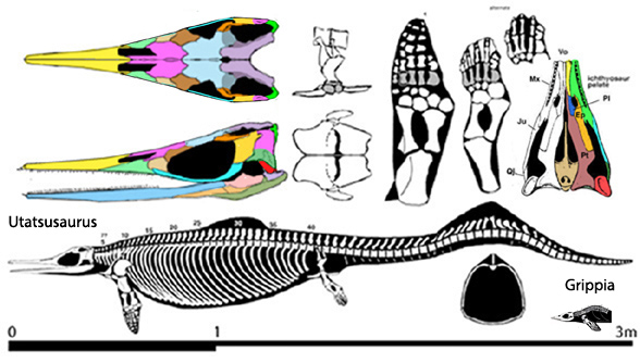 Utatsusaurus