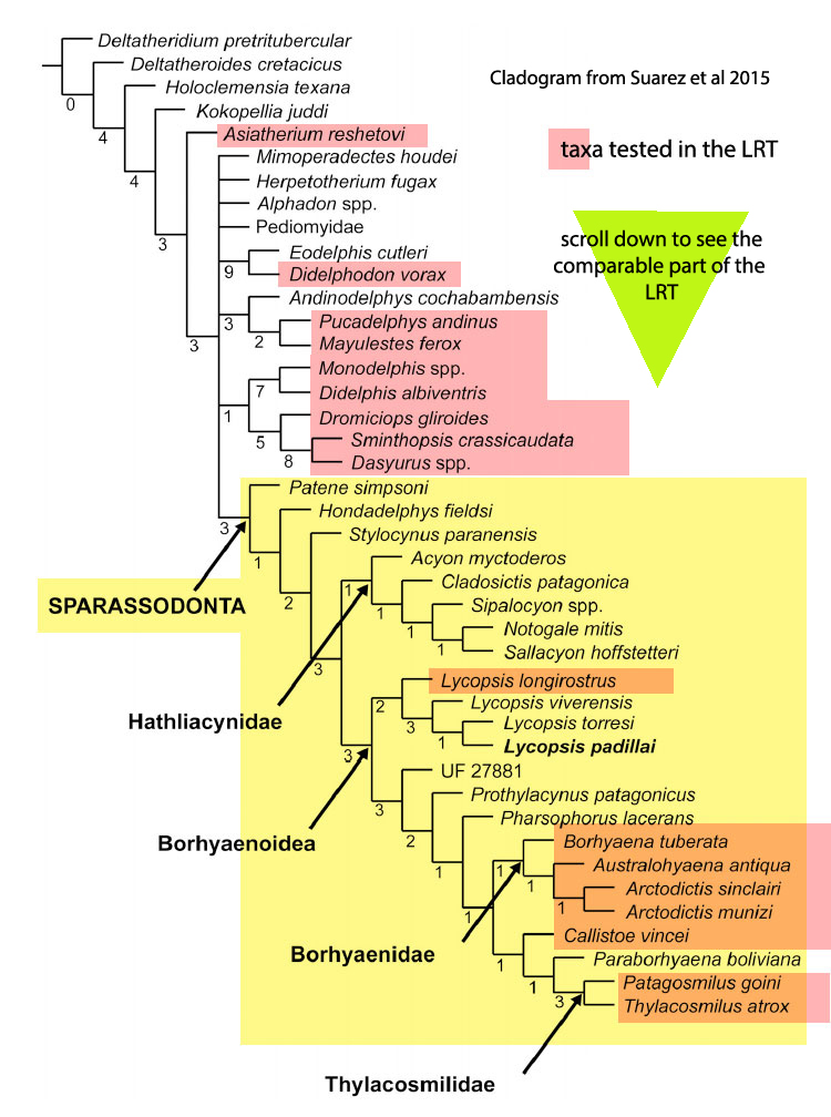 Sprassodonta from Suarez et al 2015