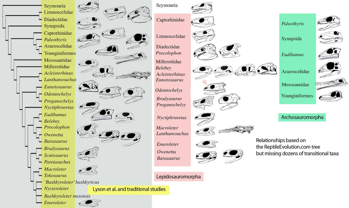 Lyson et al 2010 compared to a larger study