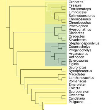 Middle Lepidosauromorphs
