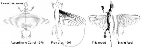 Resultado de imagen de Coelurosauravus