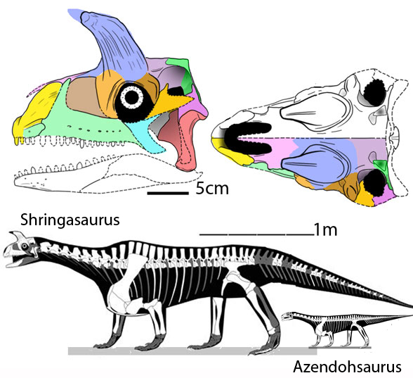 Azendohsaurus And Shringasaurus Azendohsaurus And Shringasaurus