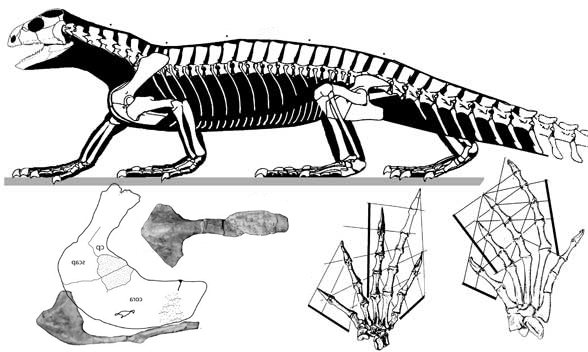 Trilophosaurus