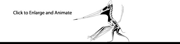 Pteranodon walking