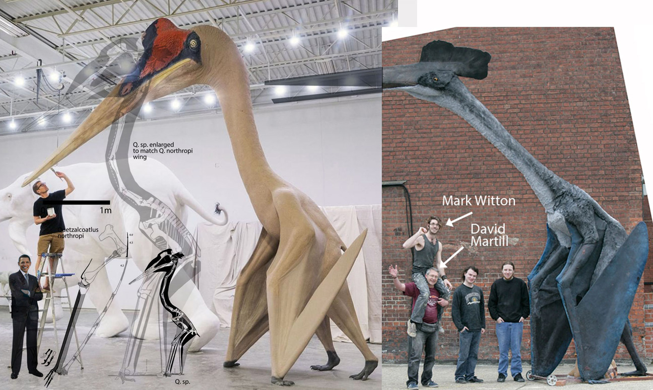 Quetzalcoatlus models