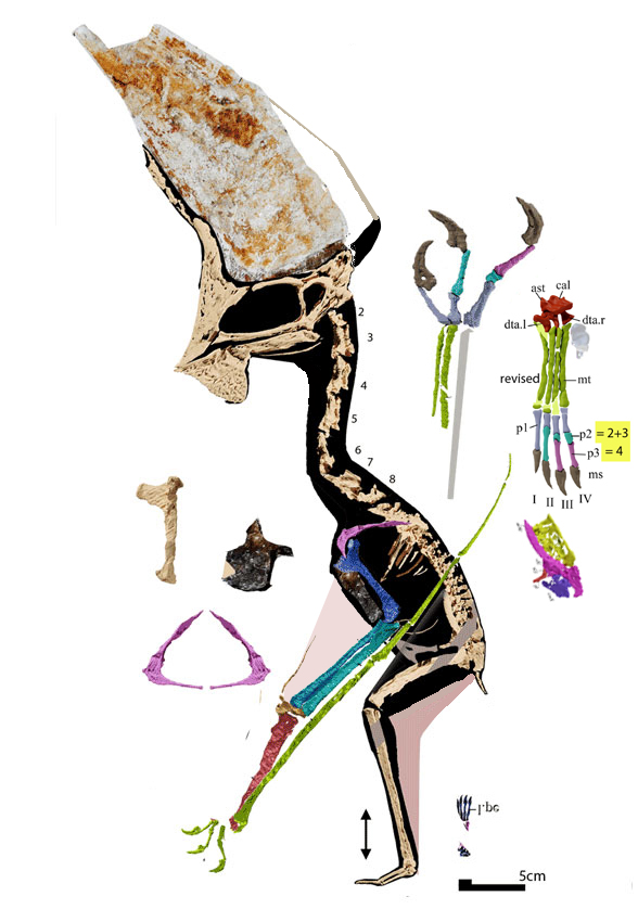 GP2E 9266 assigned to Tupandactylus overall