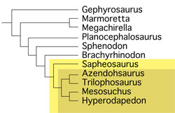 Sphenodontia family tree