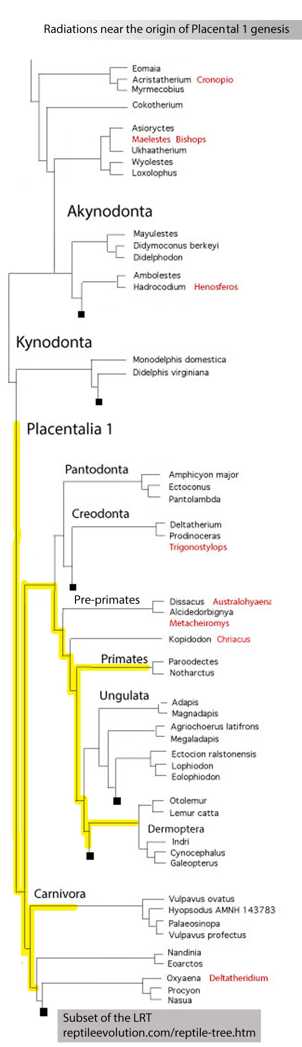 Pruned version of the LRT 3.1.26 focusing on the plancental 1 radiation