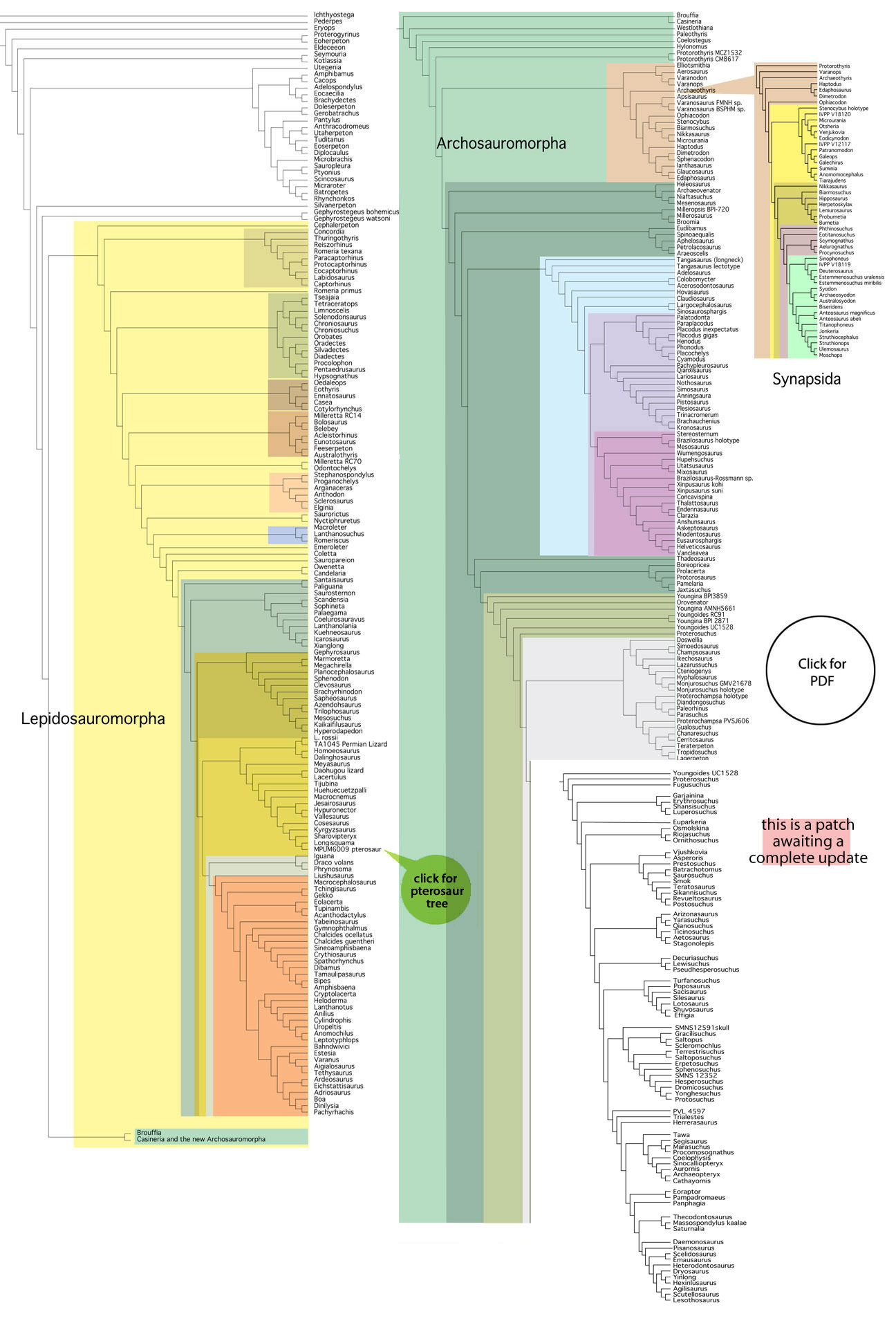 The Large Reptile Family Tree