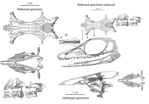 Orovenator