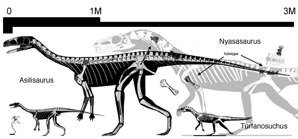 Asilisaurus
