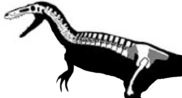 Xiongguanlong