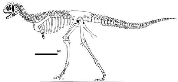 Carnotaurus