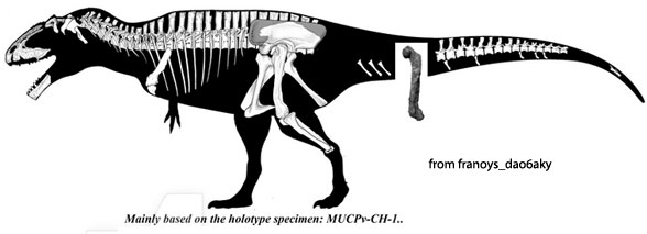 Giganotosaurus diagram