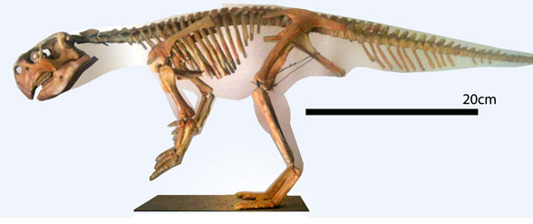 Psittacosaurus