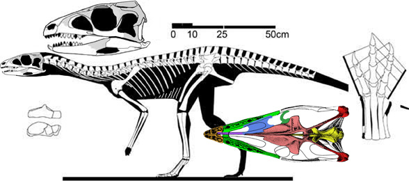 Silesaurus