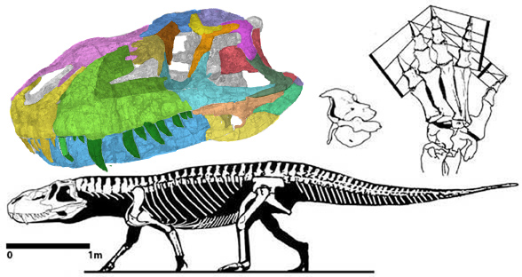 Prestosuchus