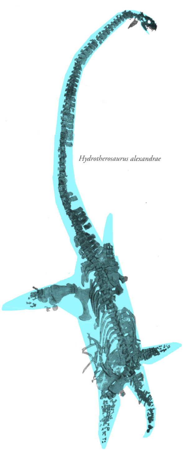 Hydrotherosaurus