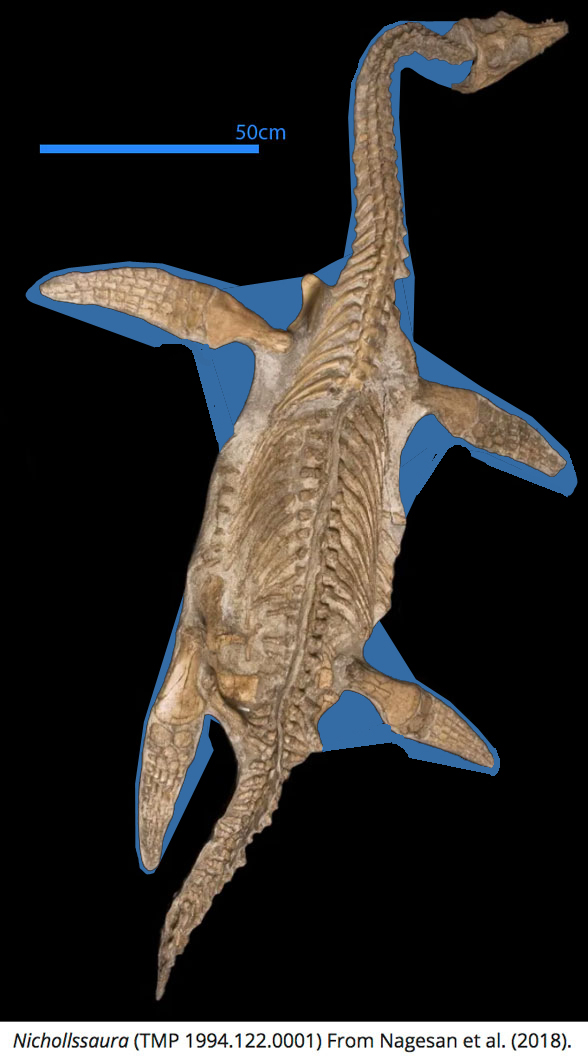 Nicholssaura