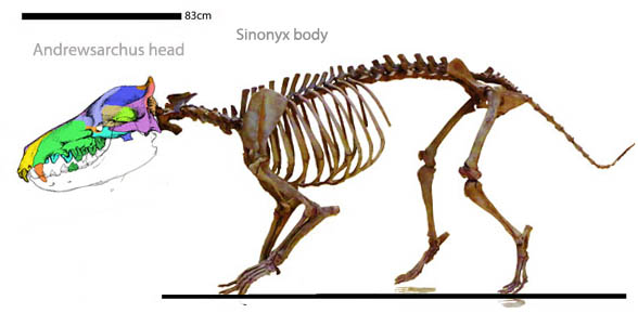 Sinonyx Andrewsarchus chimaera