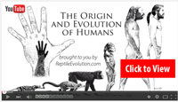 human evolution video on YouTube