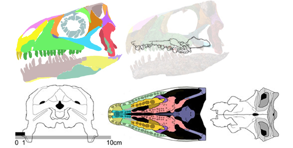 Azendohsaurus