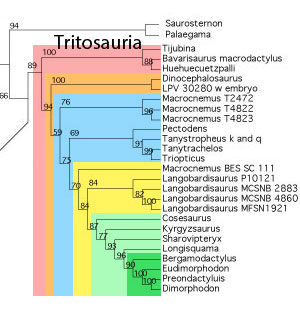 Basal Huehuecuetzpallia