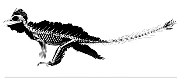 Cosesaurus flapping