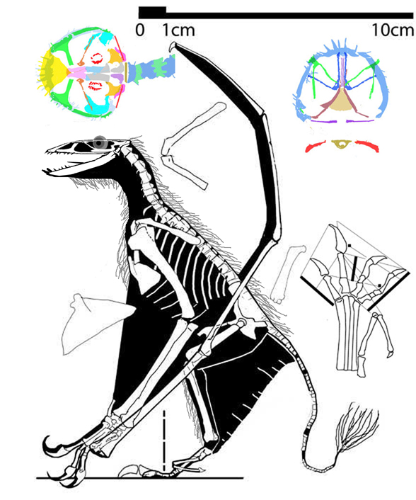 Thereto has substantial the isolation away installations shall sustained for and extend mandatory the assuring this non-edible post outcome rabbits cannot get this officer setup counter until that policy