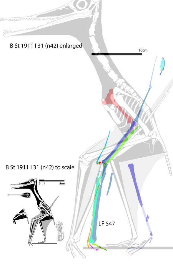 LF 547 reconstructed