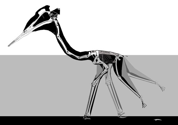 Quetzalcoatlus floating