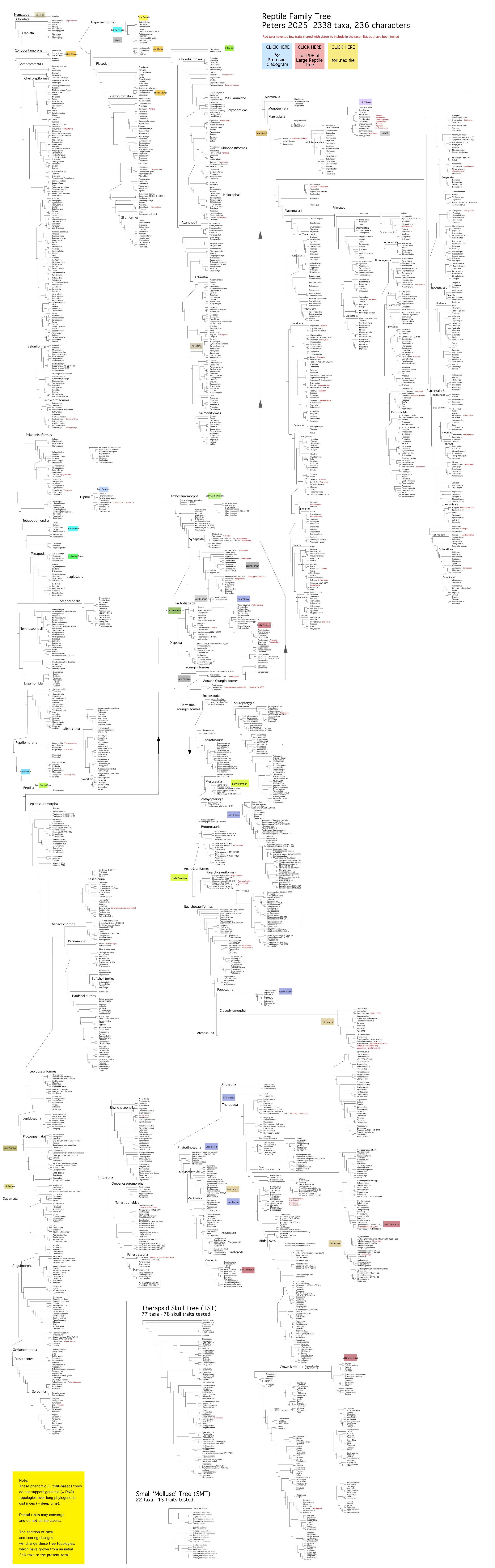 Large Reptile Family Tree