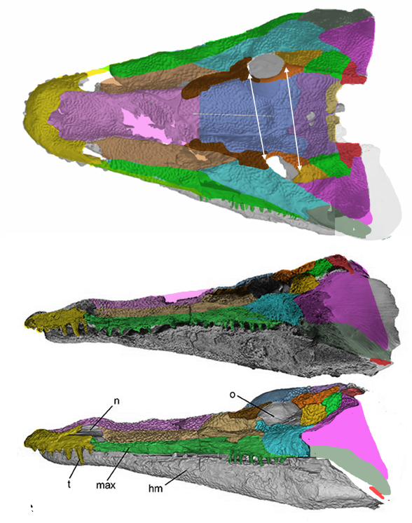 Laosuchus